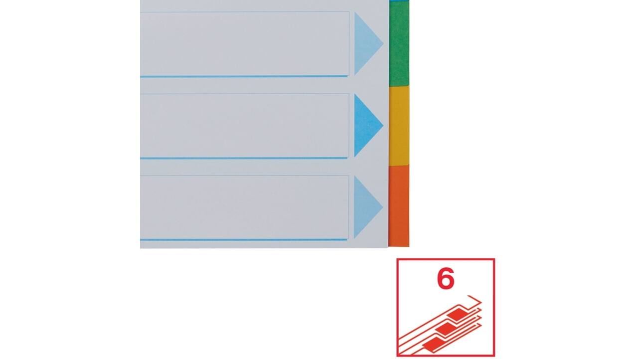Tabbladen Esselte Standaard A4 6-delig karton 11-rings met voorblad assorti