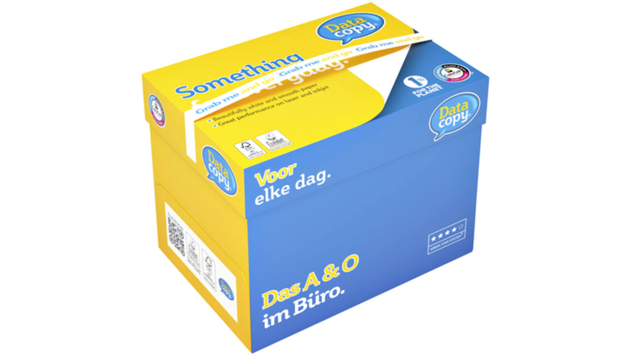 Kopieerpapier Datacopy A4 80gr wit 500vel