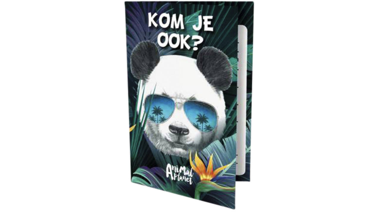 Uitnodigingen Panda 13.5x9cm
