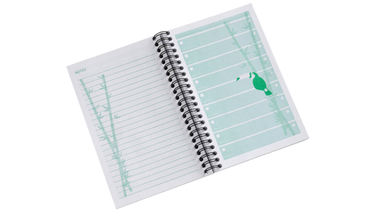 Things to do Djois Atlanta recycled papier Jungle 125x195mm 100 vel 70gr groen 2 stuks
