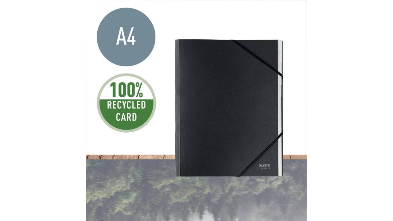 Sorteermap Leitz Recycle 12 tabs karton zwart