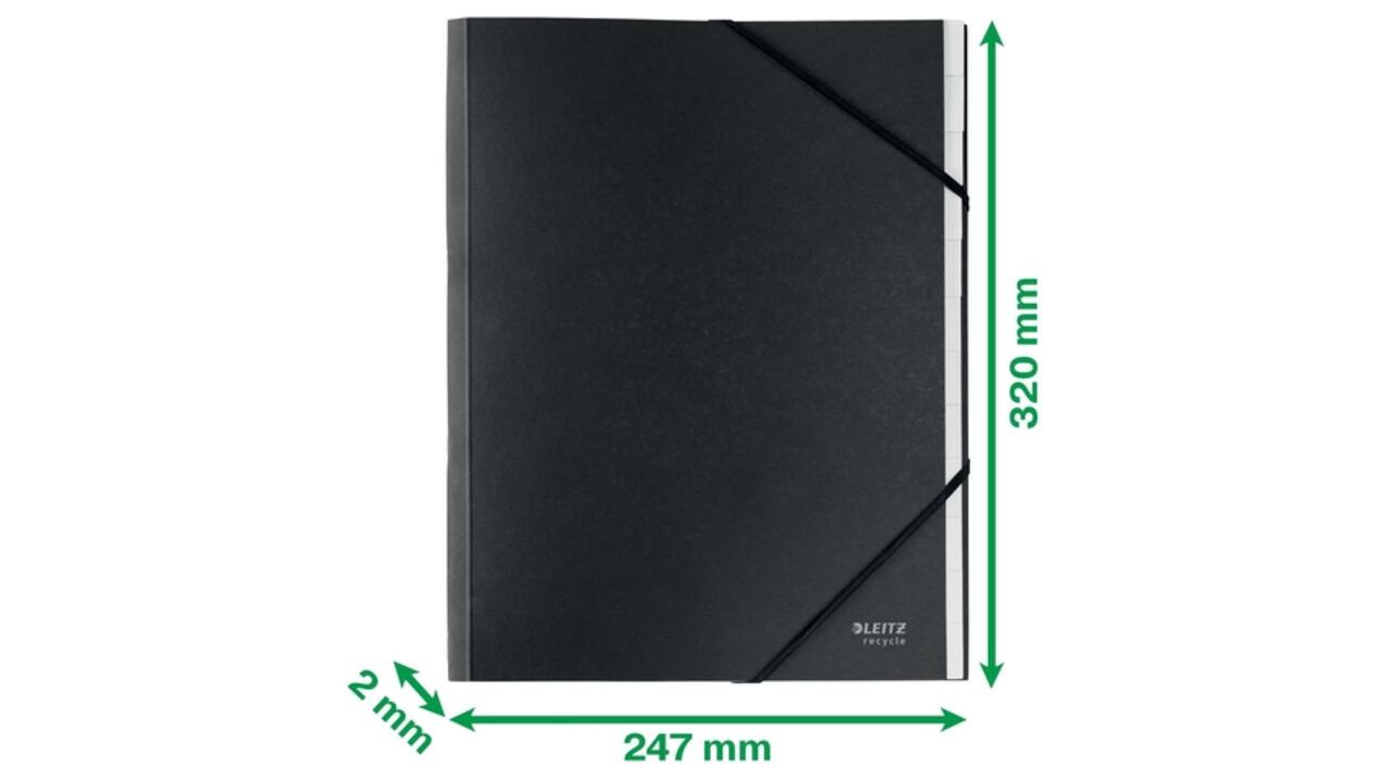 Sorteermap Leitz Recycle 12 tabs karton zwart