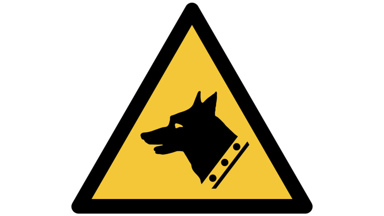 Pictogram bordje Djois Waarschuwing: waakhond 200 x 176 mm Geel