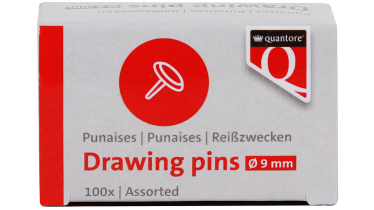 Punaises Quantore 100 stuks assorti