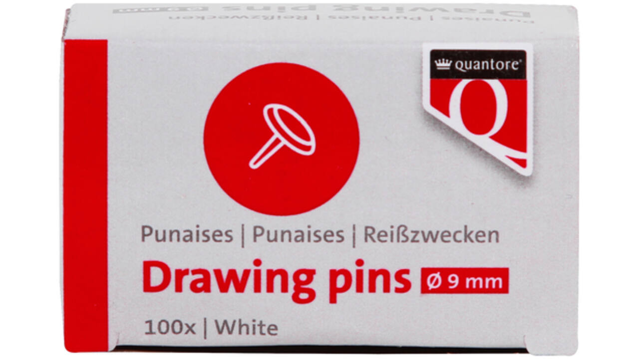 Punaises Quantore 100 stuks zilver