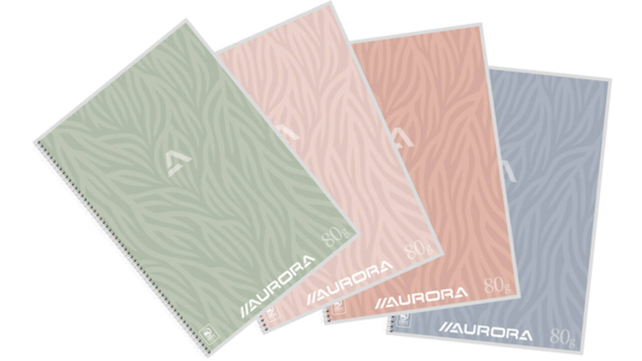 Schrift Aurora A4 lijn 120 pagina's 80gr assorti