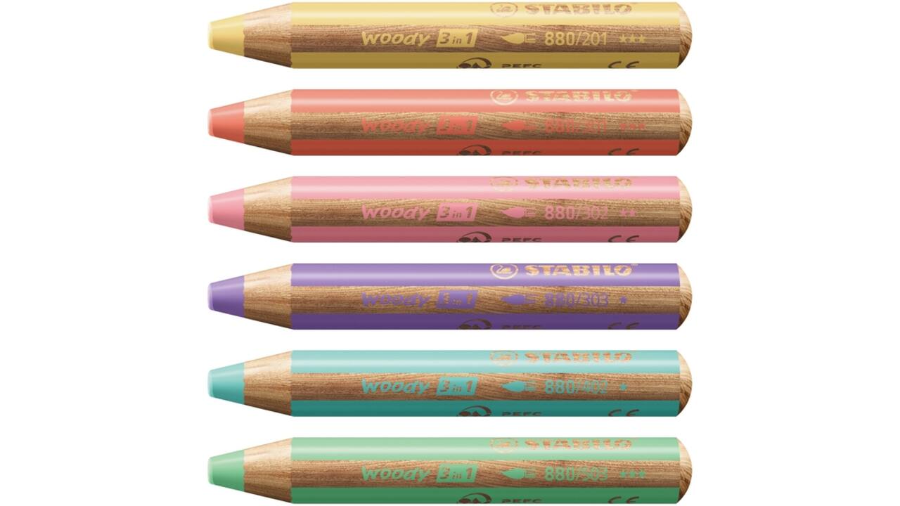 Kleurpotloden STABILO 880 woody inclusief puntenslijper pastel assorti etui à 6 stuks
