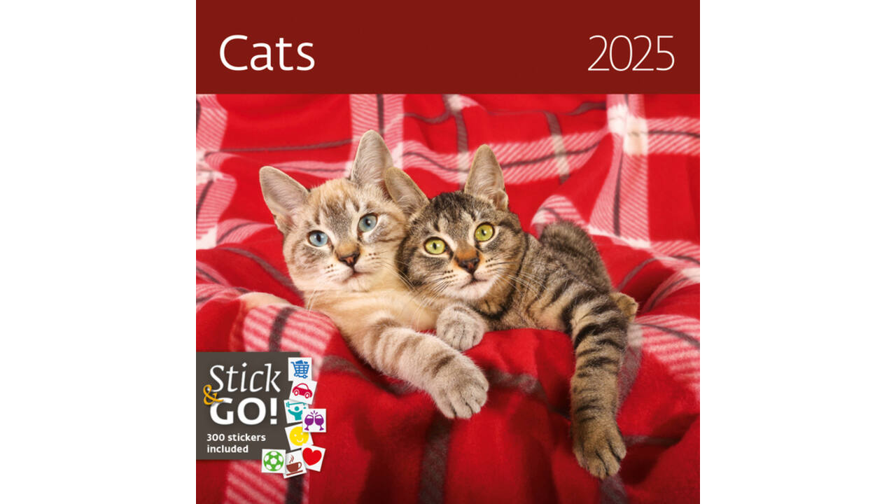 Kalender 2027 Helma 365 30x30cm katten