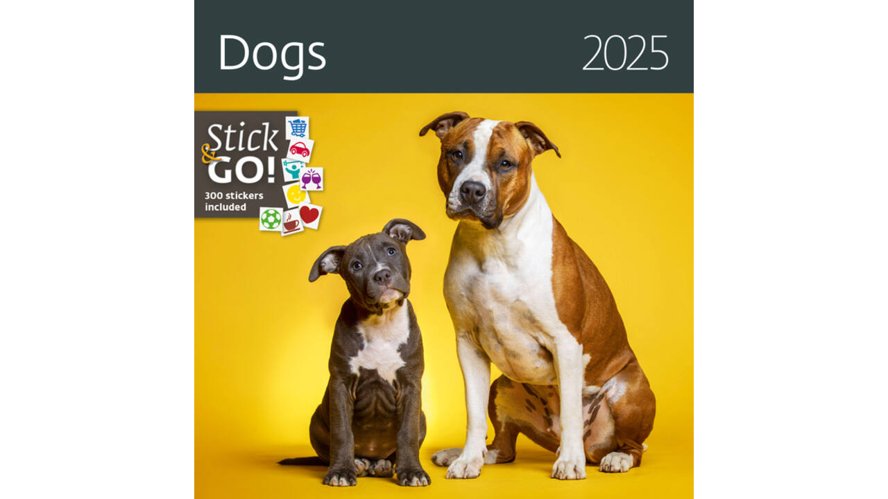 Kalender 2027 Helma 365 30x30cm honden