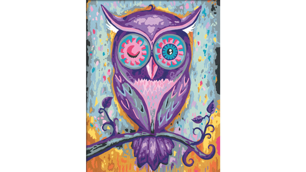 Schilderen op nummers CreArt Dreaming Owl