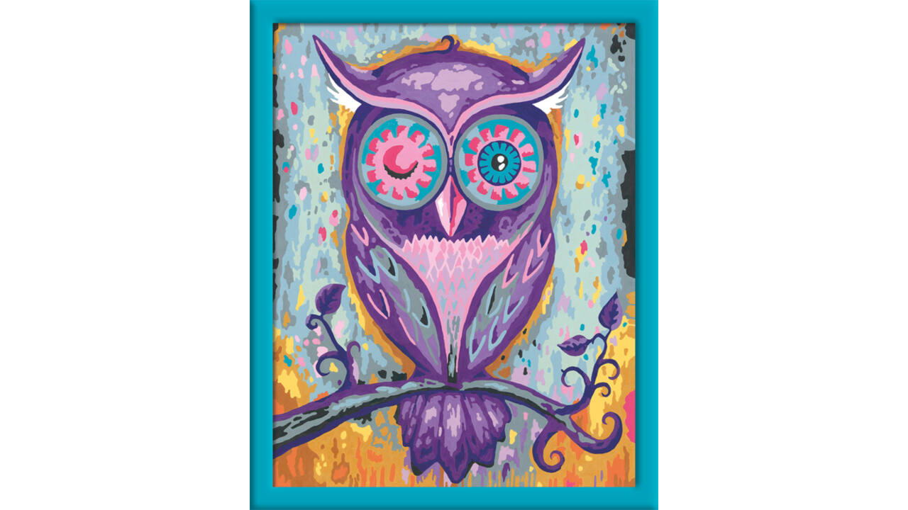 Schilderen op nummers CreArt Dreaming Owl