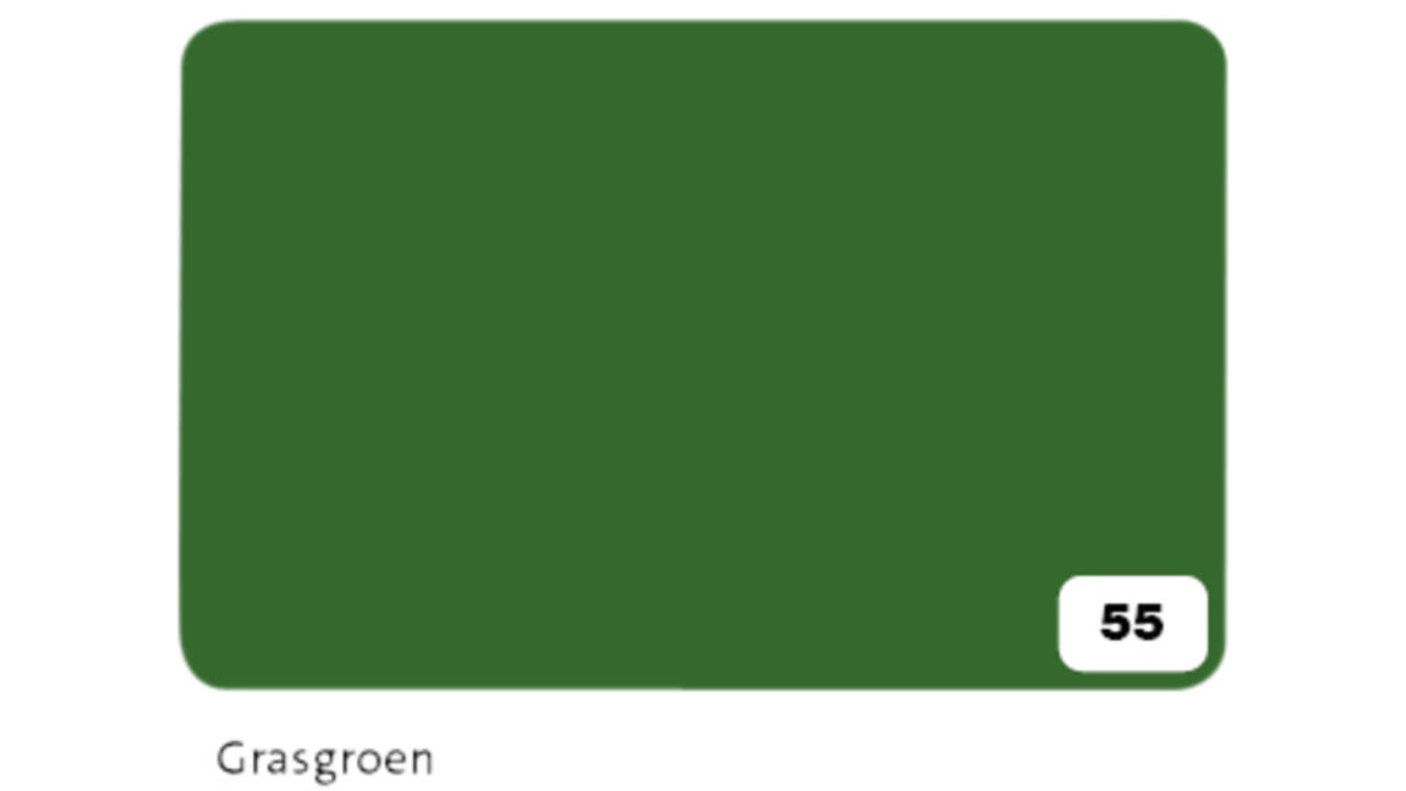 Fotokarton Folia 2-zijdig 50x70cm 300gr nr55 grasgroen