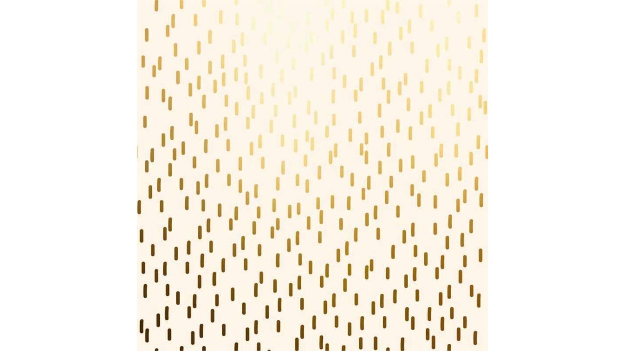 Apparaatrol Special Wrap 100mx30cm crème met goud