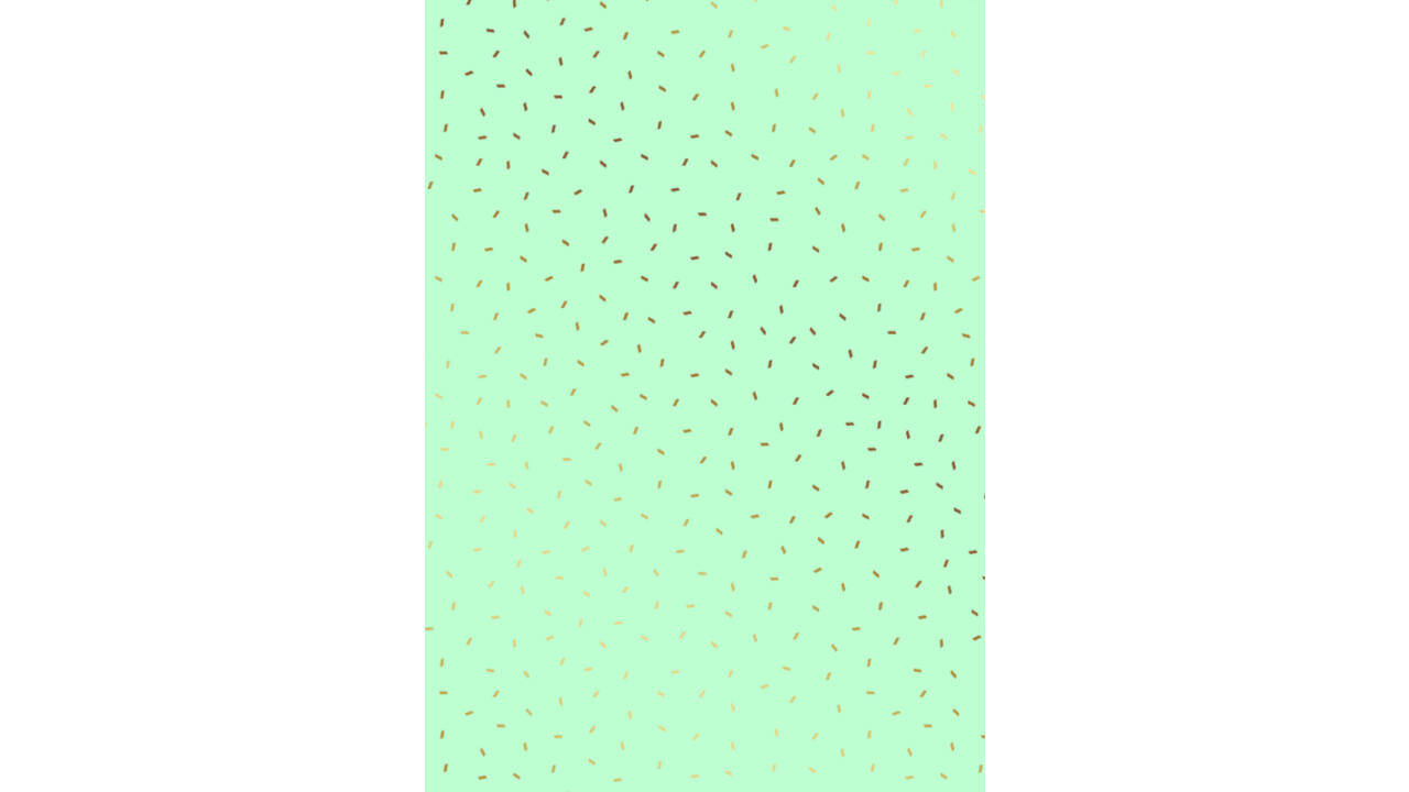 Inpakpapier Stewo Fresh Patterns 200x70cm assorti