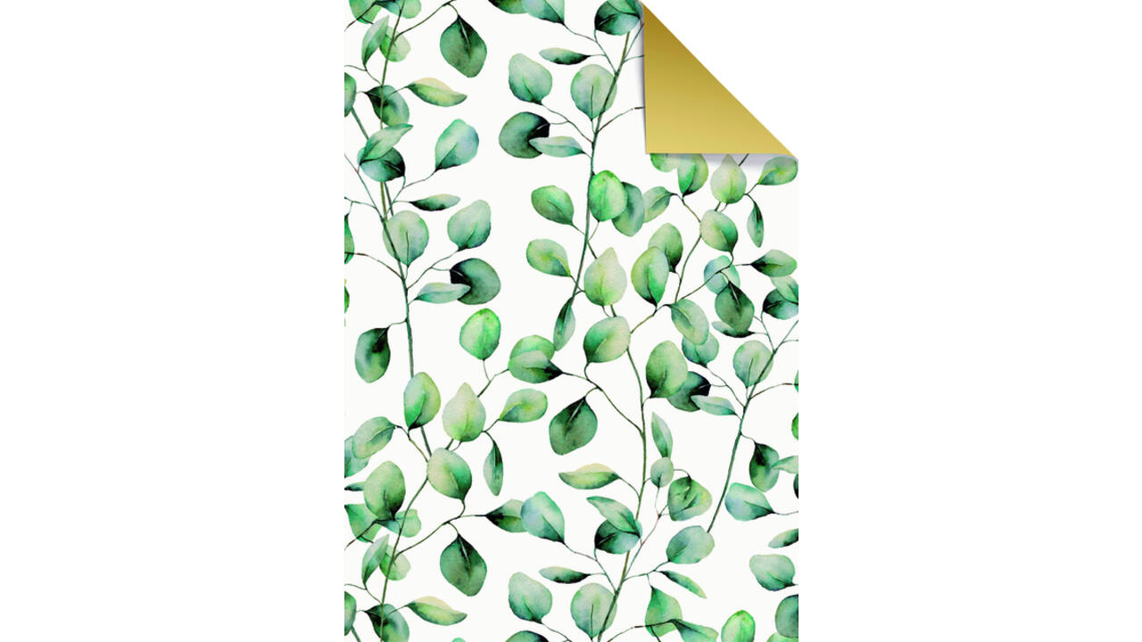 Apparaatrol Stewo Esta 150mx30cm