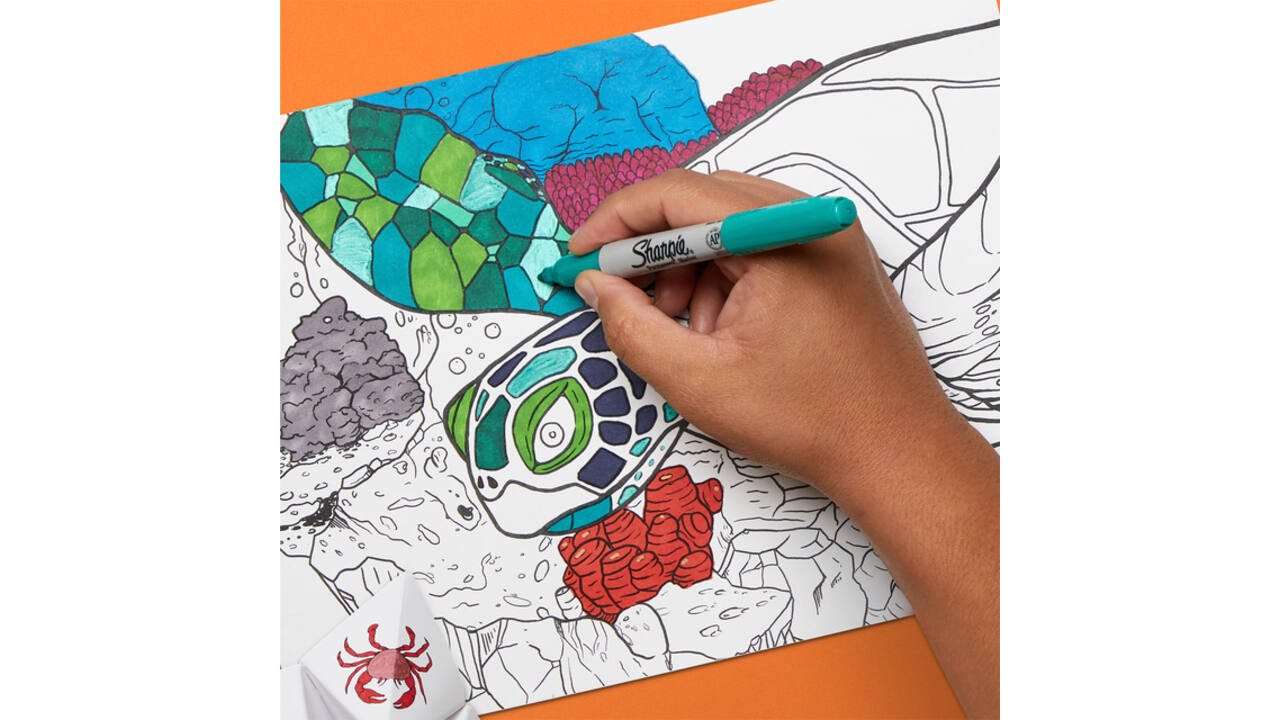 Viltstift Sharpie rond Beat the Maze fijn assorti pak à 30 stuks