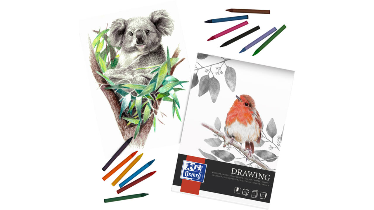 Tekenblok Oxford Drawing A3 40 vel 160 gram