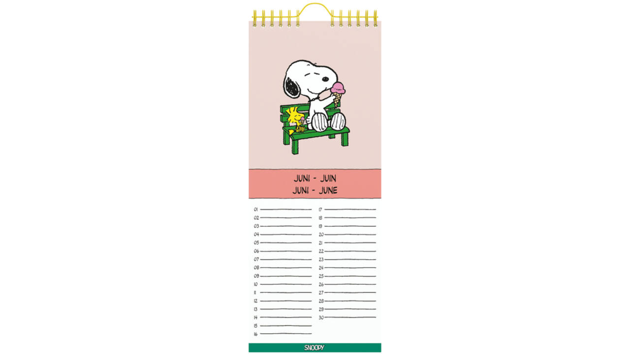 Verjaardagskalender Lannoo Peanuts 130x325