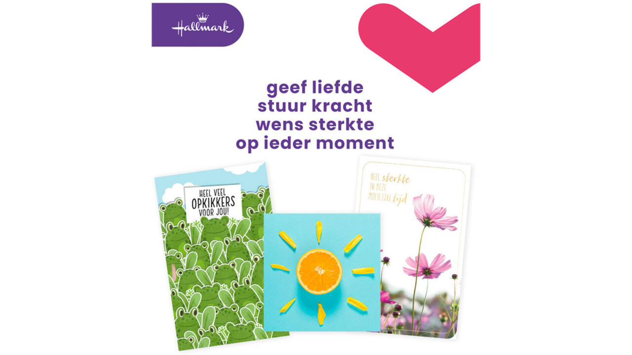 Wenskaart Hallmark navulset beterschap/sterkte 12 kaarten