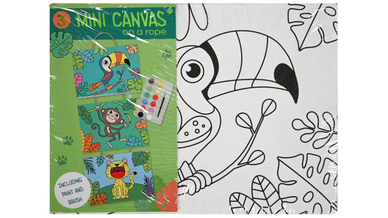 Canvasset om in te kleuren assorti