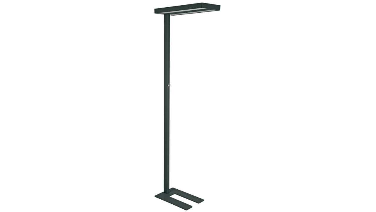 Vloerlamp MAUL Javal LED dimbaar zwart hoog 195cm