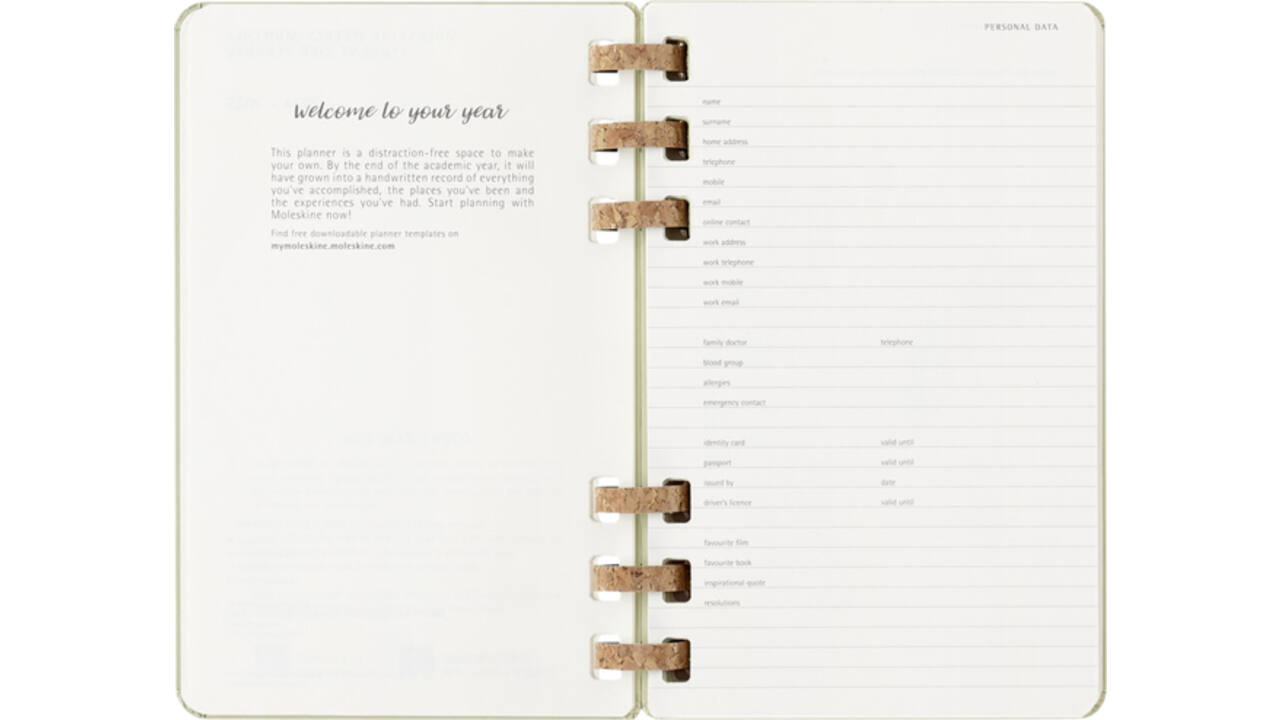 Agenda 2024/2025 Moleskine 12M Academic planner 7dagen/2pagina's large hc crush kiwi
