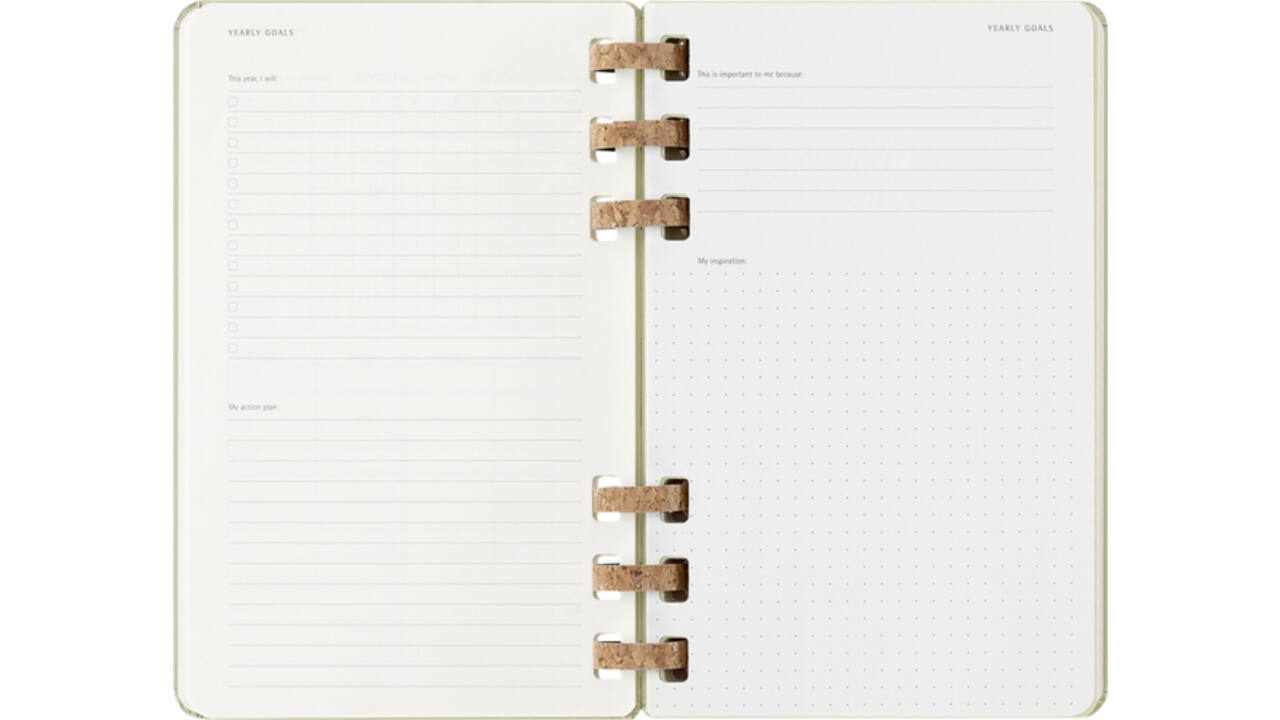 Agenda 2024/2025 Moleskine 12M Academic planner 7dagen/2pagina's large hc crush kiwi