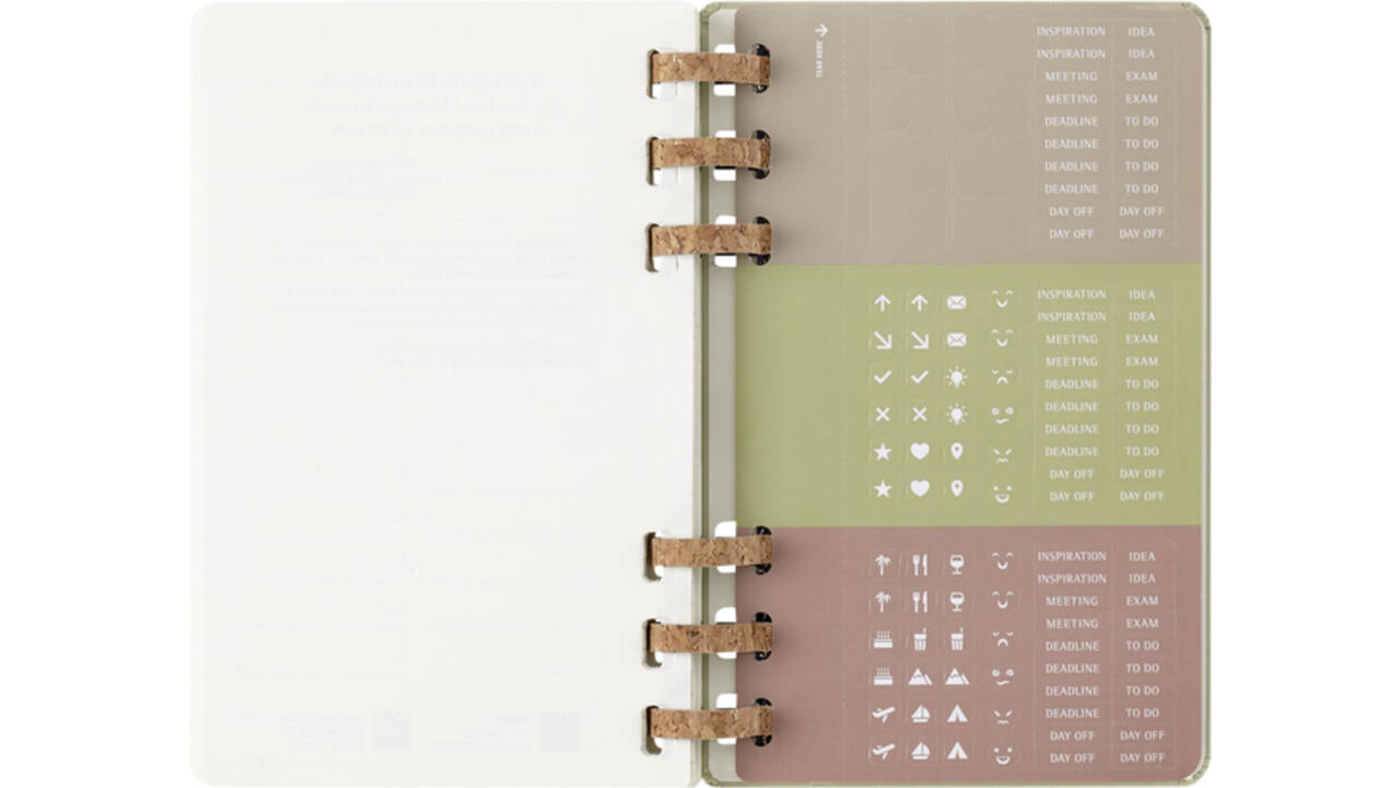 Agenda 2024/2025 Moleskine 12M Academic planner 7dagen/2pagina's large hc crush kiwi