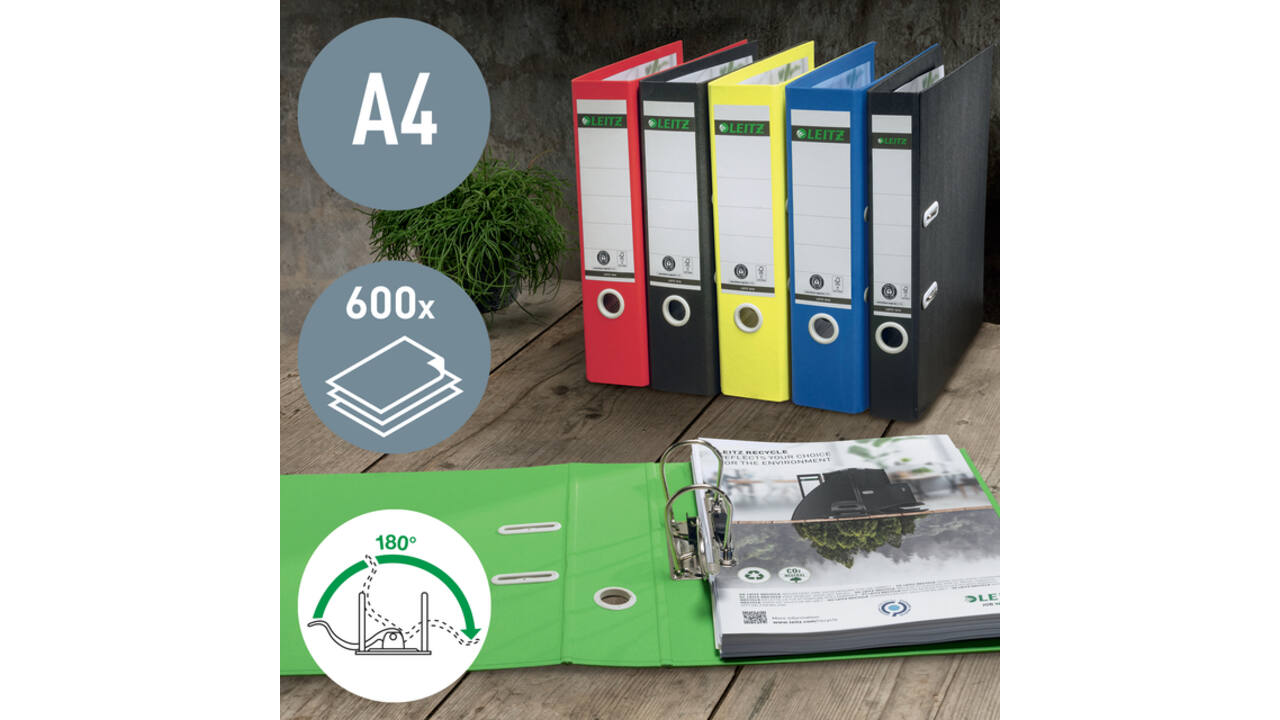 Ordner Leitz 180° Recycle 80 mm karton A4 groen
