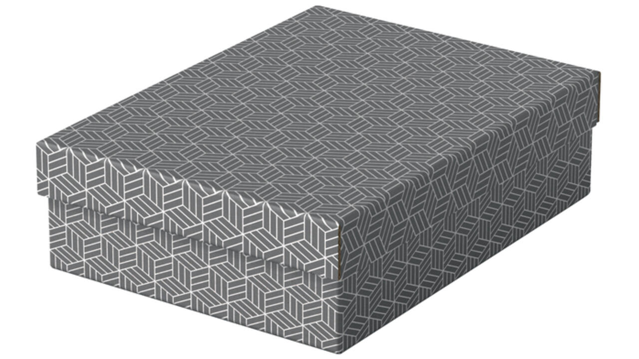 Opberg- en geschenkdoos Esselte home middelgroot 265x100x360mm grijs 3 stuks