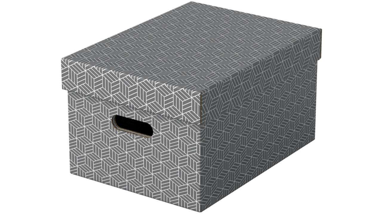 Opbergdoos Esselte home middelgroot 265x205x365mm grijs 3 stuks