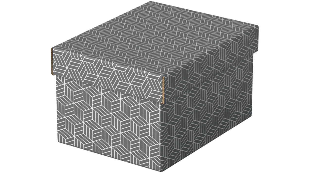 Opberg- en geschenkdoos Esselte home klein 200x150x255mm gr 3 st