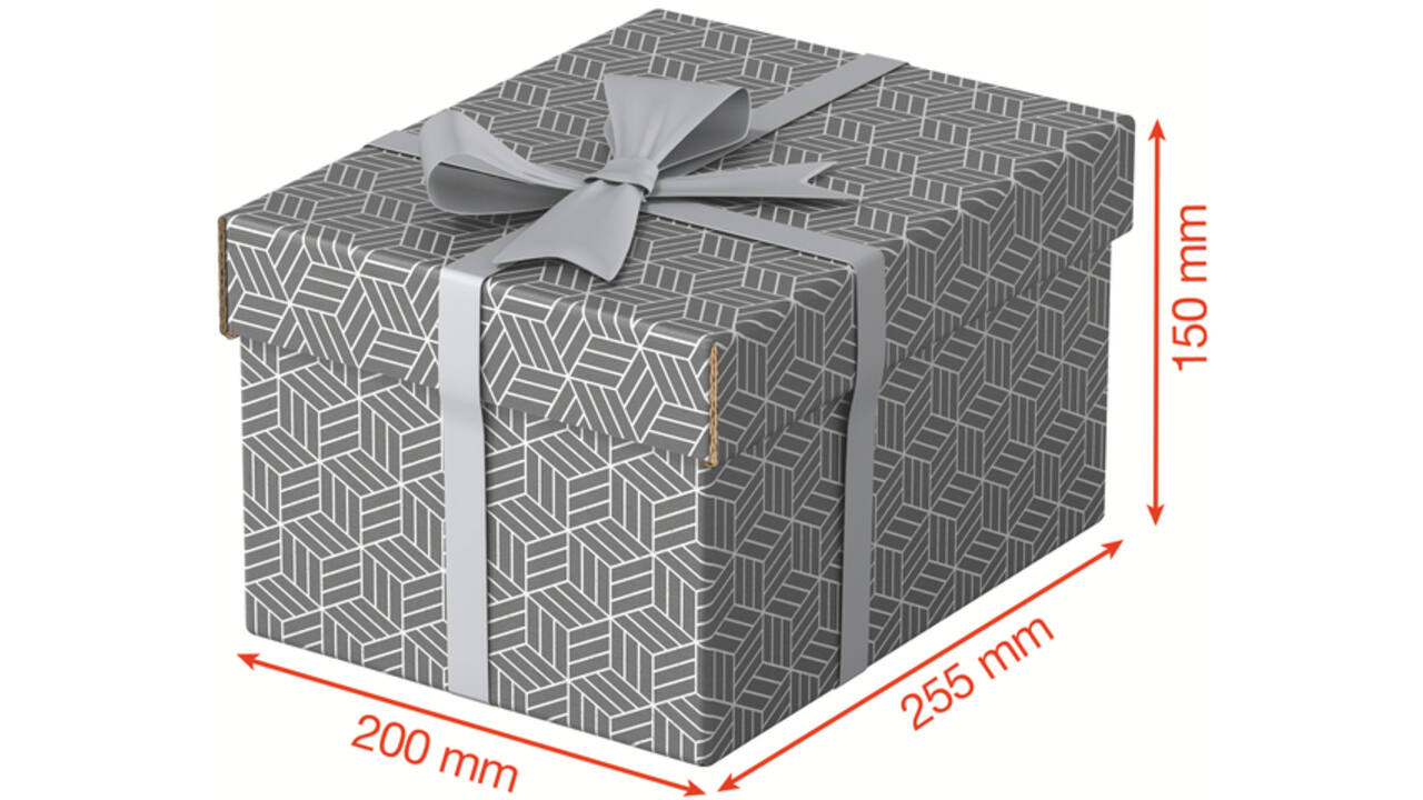 Opberg- en geschenkdoos Esselte home klein 200x150x255mm gr 3 st