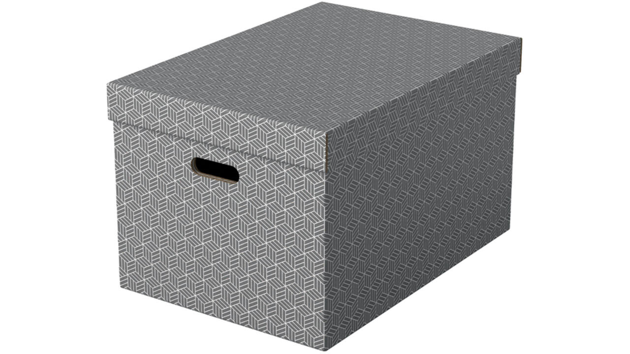 Opbergdoos Esselte home groot 355x305x510mm grijs 3 stuks