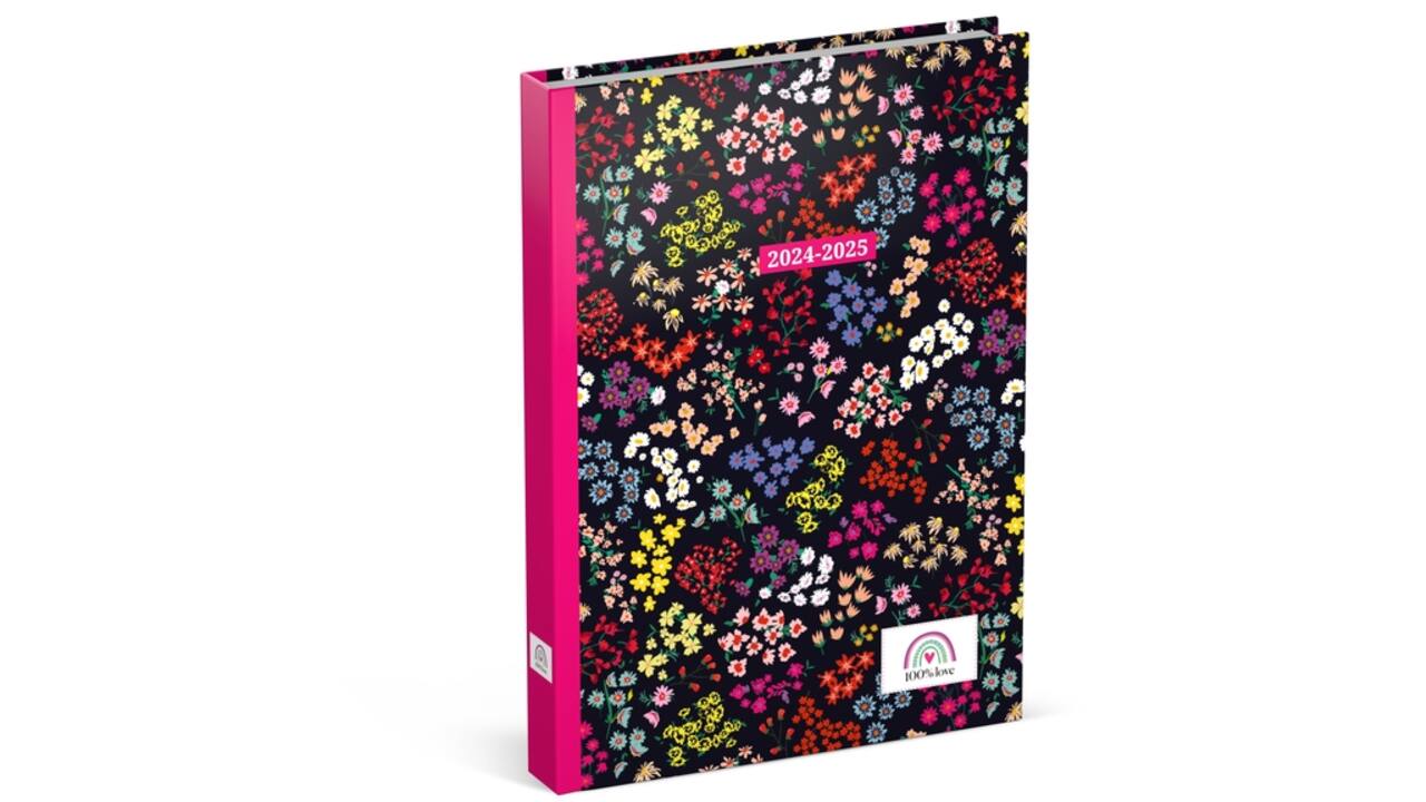 Schoolagenda 2024-2025 Lannoo 100% Love 1dag/1pagina