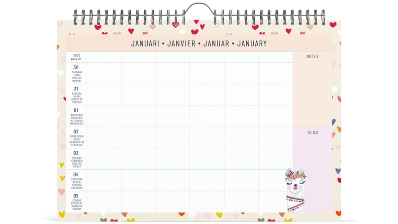 Familiekalender 2025 Lannoo 310x220 Paper Salad 7dagen/1pagina