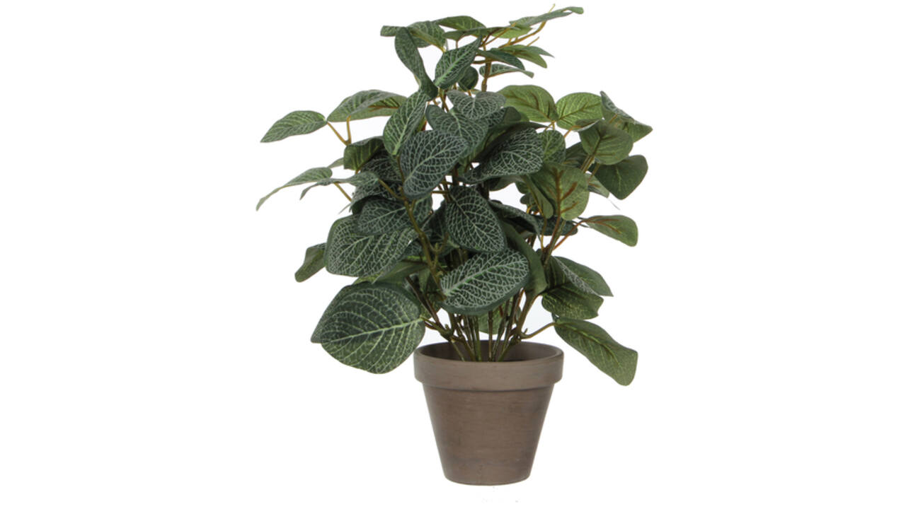 Kunstplant Mica Pilea in pot Ø11,5cm 35x25cm