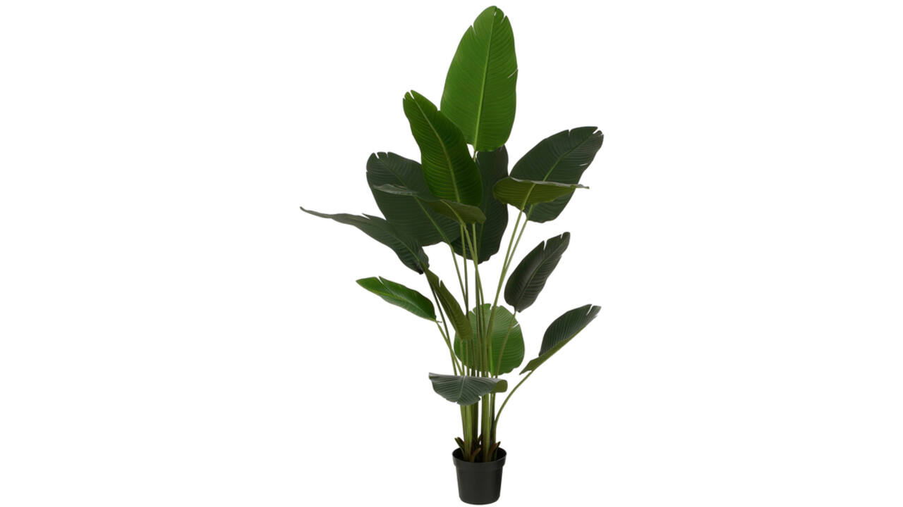 Kunstplant Mica Bananen boom in plastic pot 180x30cm