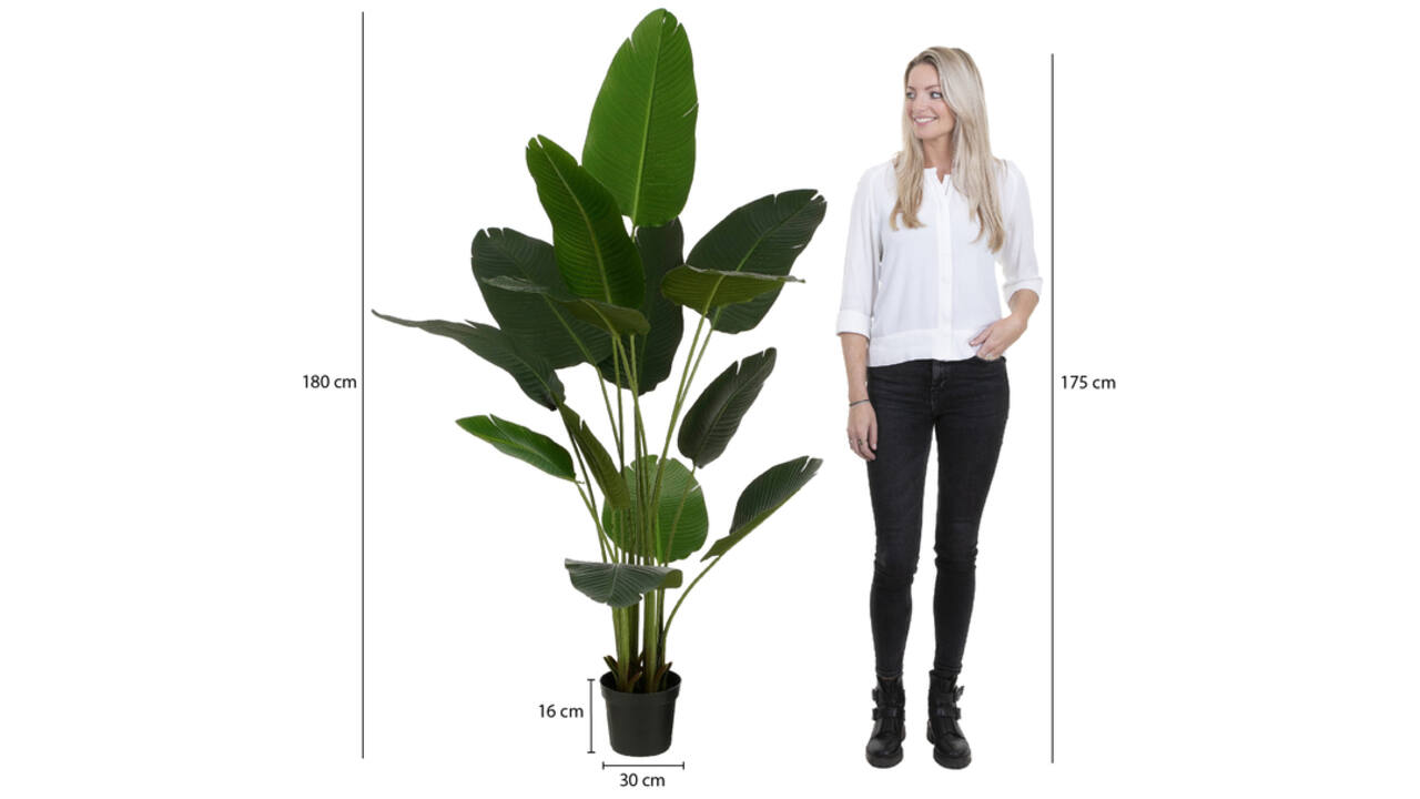 Kunstplant Mica Bananen boom in plastic pot 180x30cm