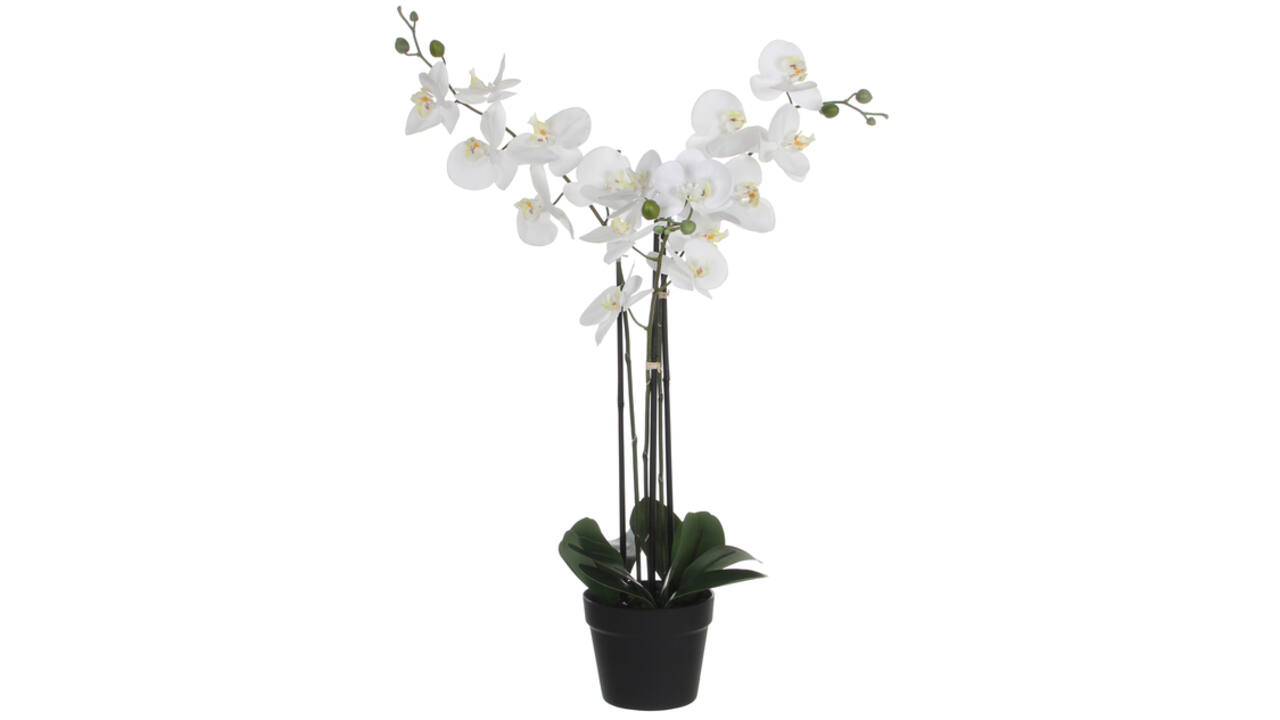 Kunstplant Mica Phalaenopsis orchideeën wit in plastic pot 79x51cm