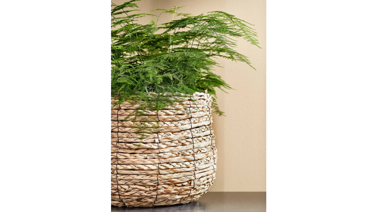 Plantenmand Mica Avalon zeegras rond lichtbruin 26x26cm