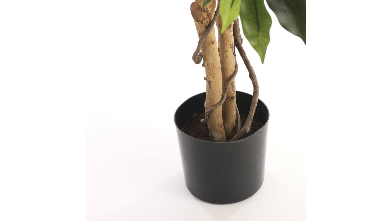 Kunstplant Mica Ficus in plastic pot 180x100cm