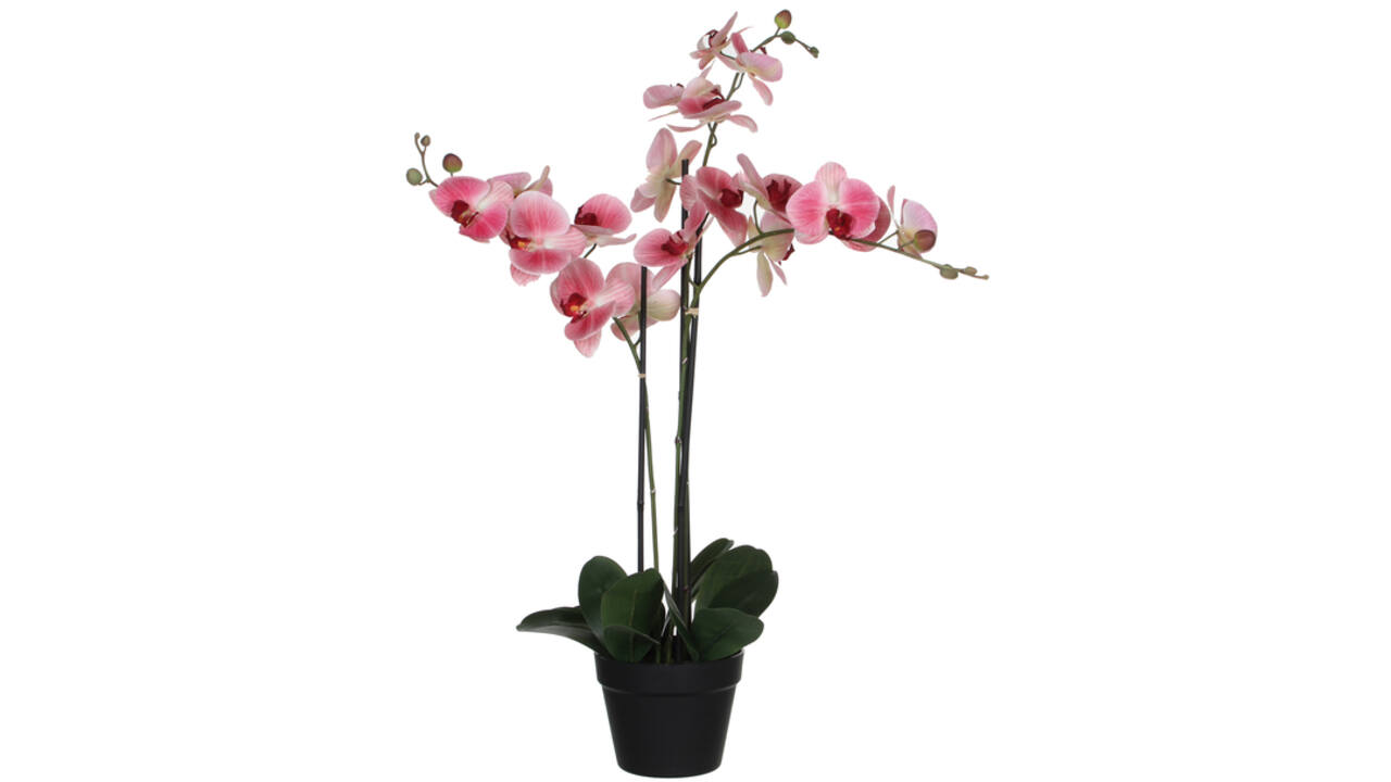 Kunstplant Mica Phalaenopsis orchideeën roze in plastic pot 79x51cm