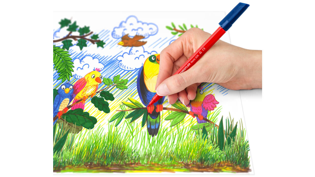 Kleurstift Staedtler Noris 326 kartonnen etui 20 kleuren