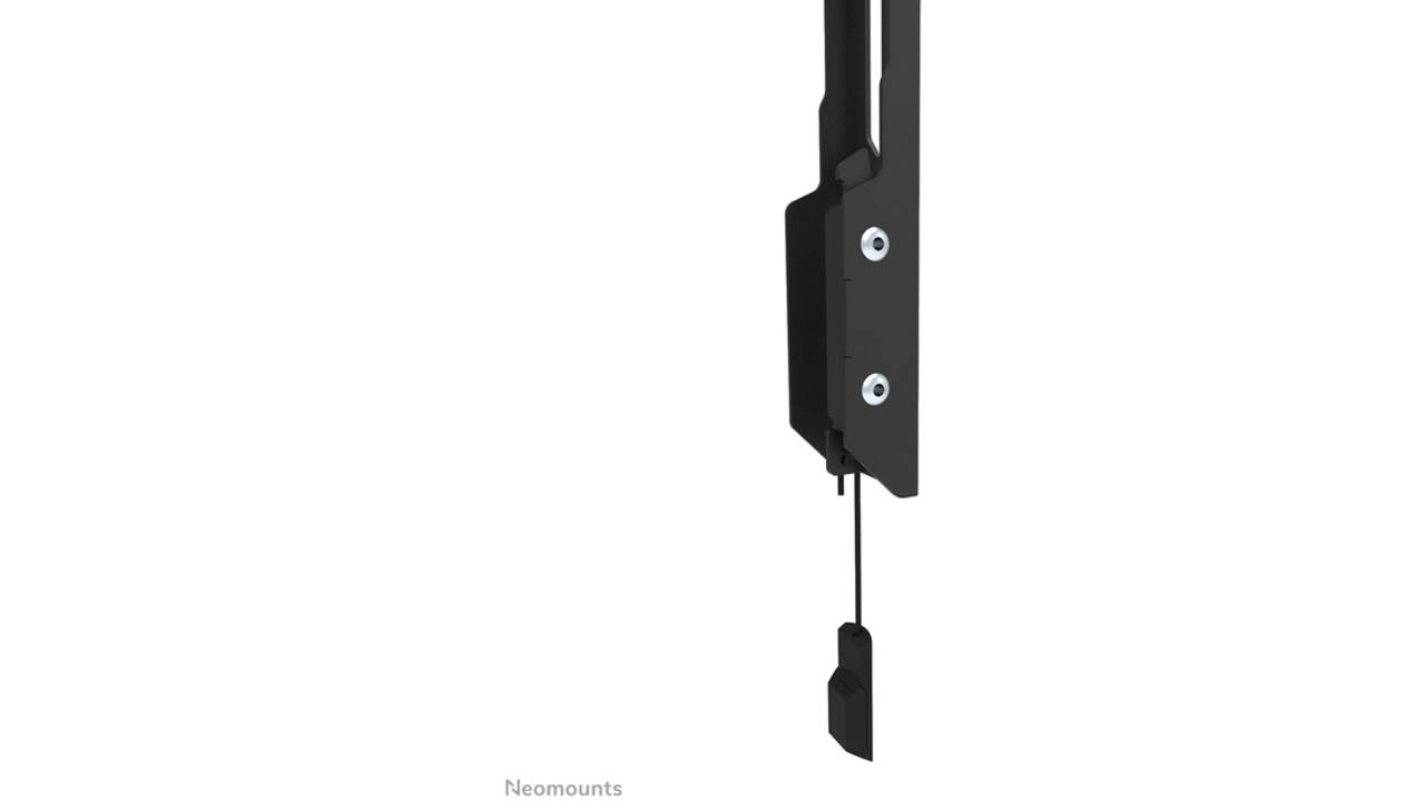 TV wandsteun Neomounts 24-55 inch