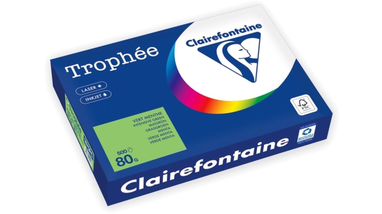 Kopieerpapier Trophée A4 80gr grasgroen 500vel