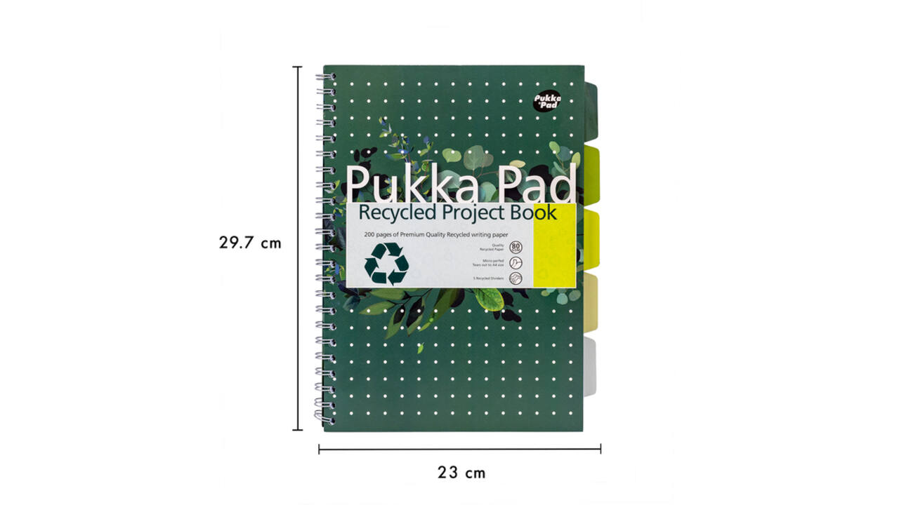 Projectboek Pukka Recycled A4 lijn 5-tabs 4-gaats 200 pagina's 80gr groen