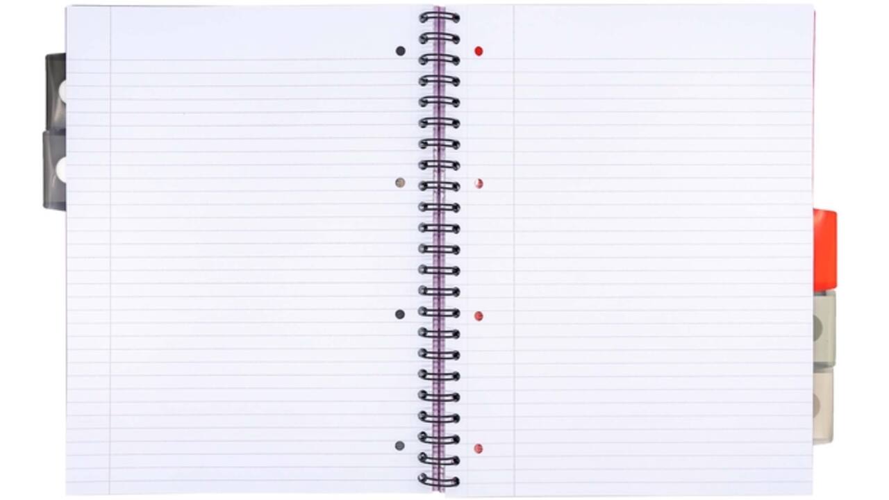 Projectboek Pukka Metallic Executive A4 lijn 5-tabs 4-gaats 200 pagina's 80gr assorti