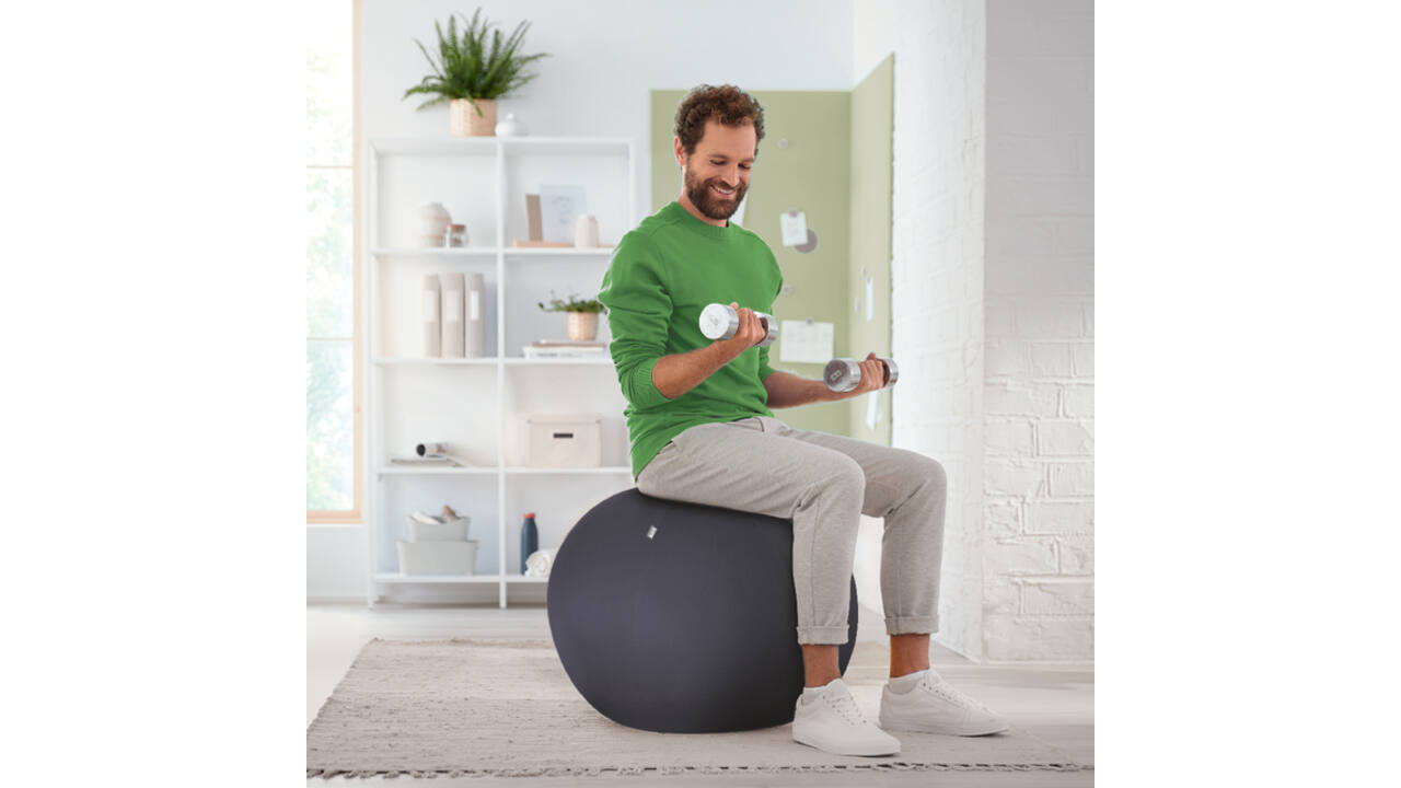 Actieve zitbal Leitz Ergo 65cm anti-rol donkergrijs
