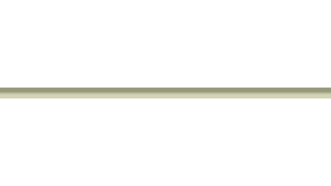 Vulpen STABILO Flow medium khaki